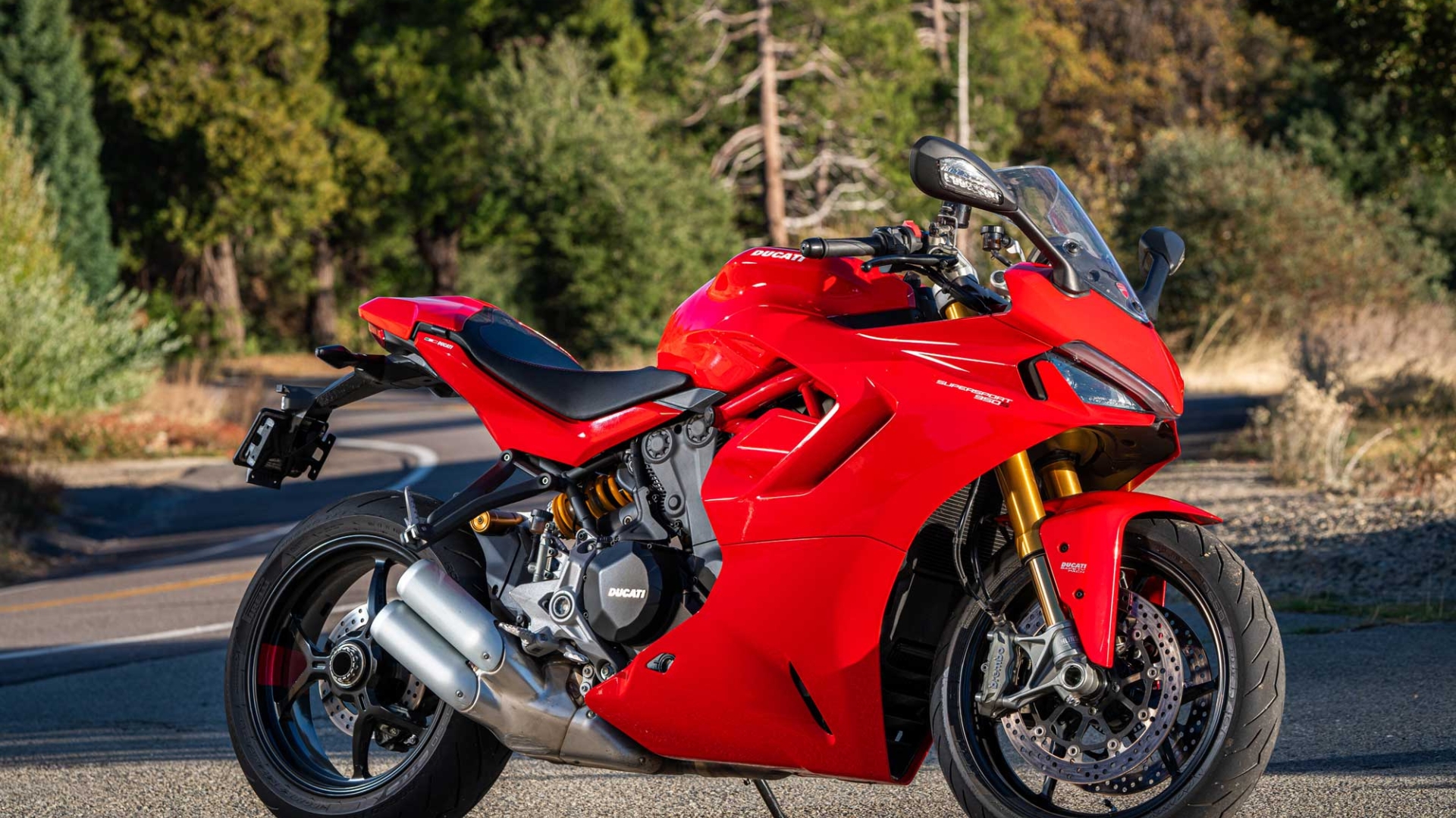 Experience the Thrill Ducati SuperSport Where Style Meets Performance