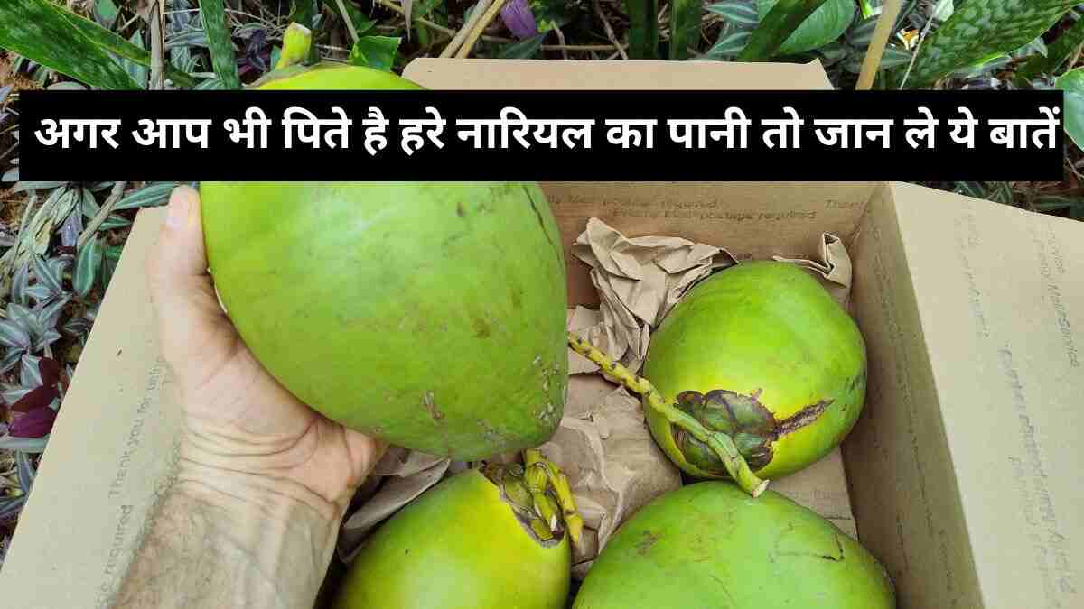 Benefits of Green Coconut
