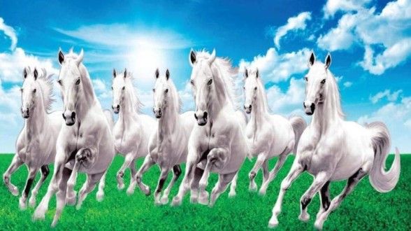 7 Horses picture with green grass