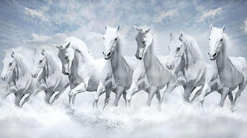 7 Horses picture with white background