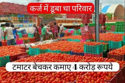 Tomato farmer become crorepati