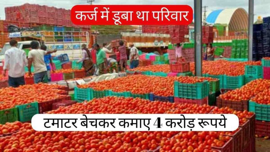 Tomato farmer become crorepati