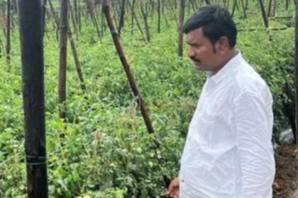 Telangana farmer become crorepati selling tomatoes