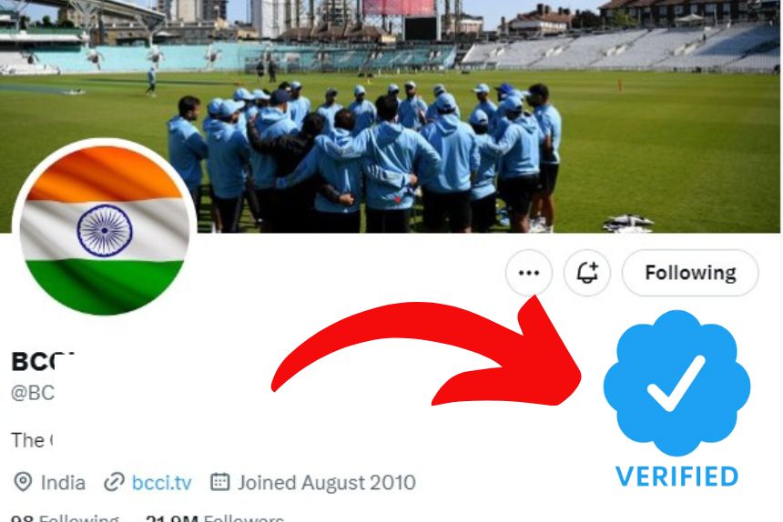 bcci blue tick: पीएम मोदी के इस फरमान के बाद बीसीसीआई से छिन गया ट्विटर का ब्लू टिक, जानिए ऐसा कैसे हुआ 
