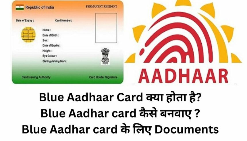 Blue Aadhar card क्या होता है जल्दी से बनाए!