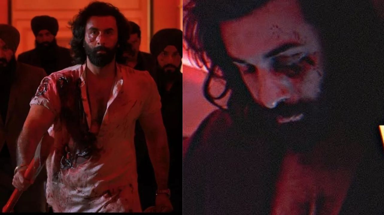 Animal Song Arjan Vailly Out