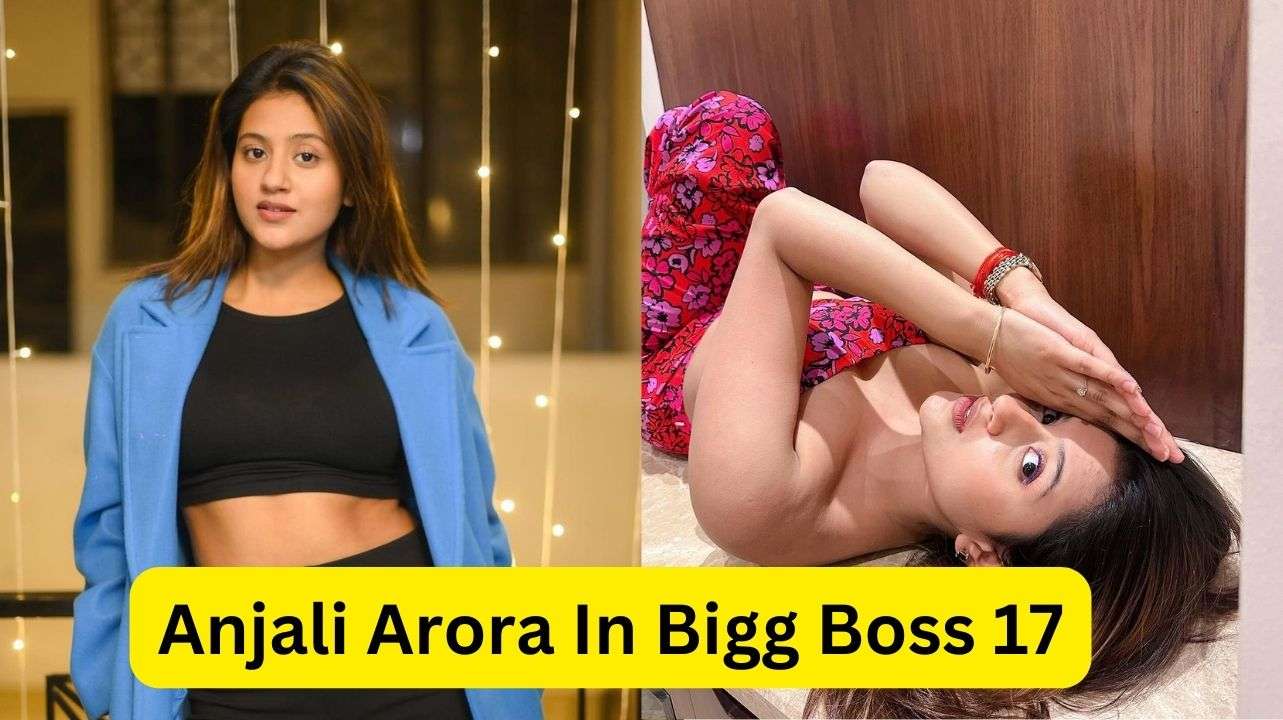 Anjali Arora In Bigg Boss 17