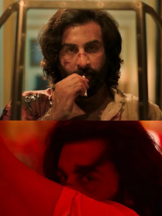 Animal Song Arjan Vailly Out (2)