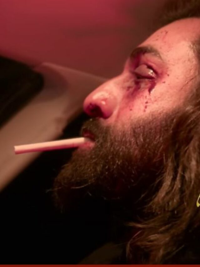 Animal Song Arjan Vailly Out