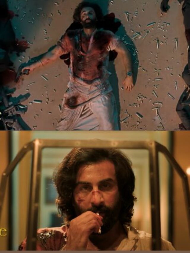 Animal Song Arjan Vailly Out