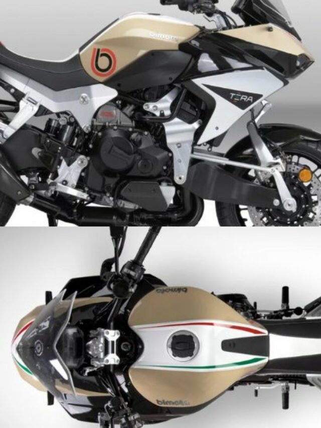 BIMOTA TERA