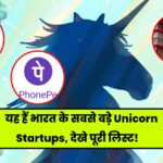 10 Top Unicorn Startups of India