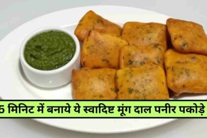 Moong Dal Paneer Pakoda Recipe