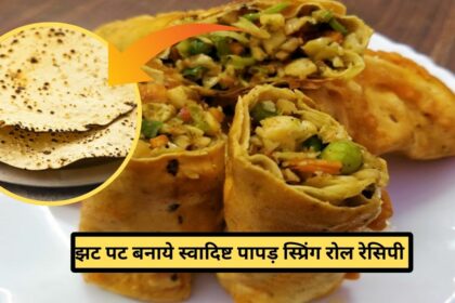 Papad Spring Roll Recipe