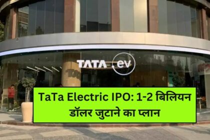 Tata Electric IPO