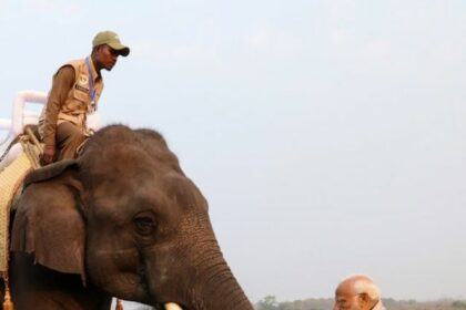 PM Modi Kaziranga National