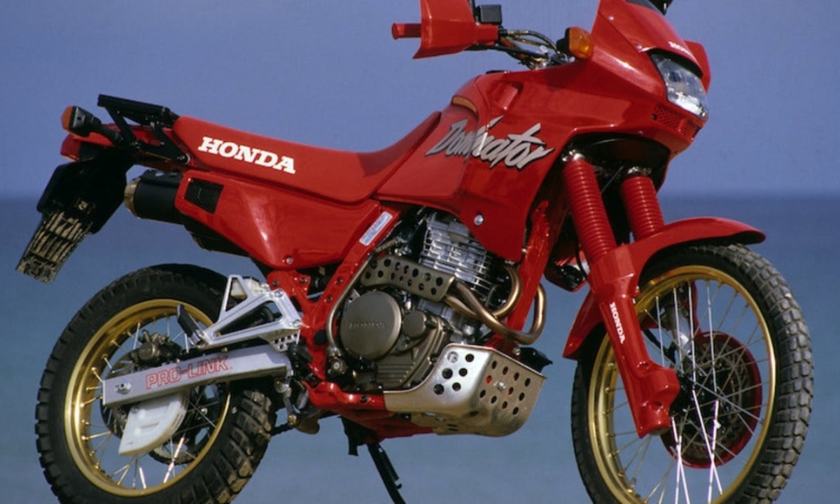 Enduro की बादशाह Honda NX650 EDNA का जबरदस्त ट्रांसफॉर्मेशन